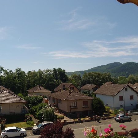 Appartement Avec Balcon : Le Serenity Turckheim Bagian luar foto