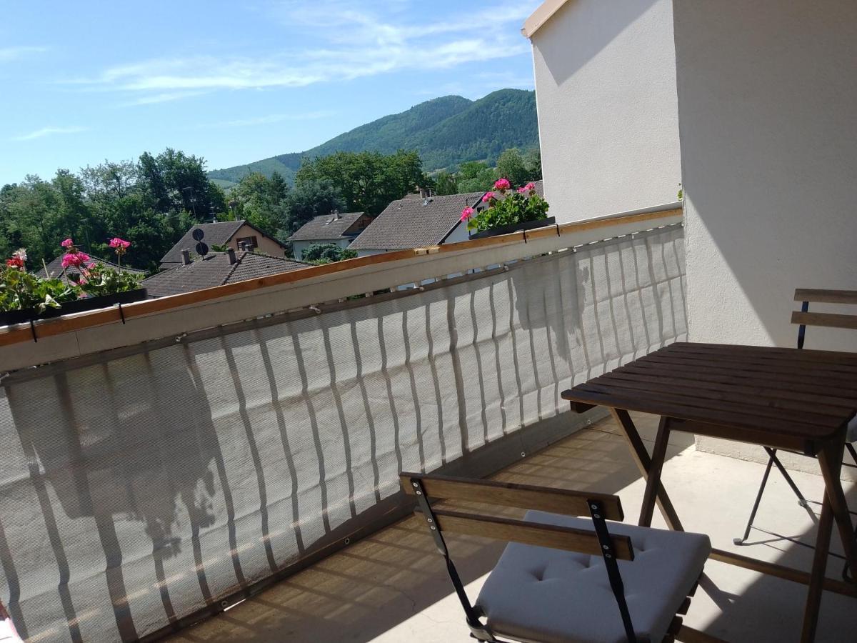 Appartement Avec Balcon : Le Serenity Turckheim Bagian luar foto