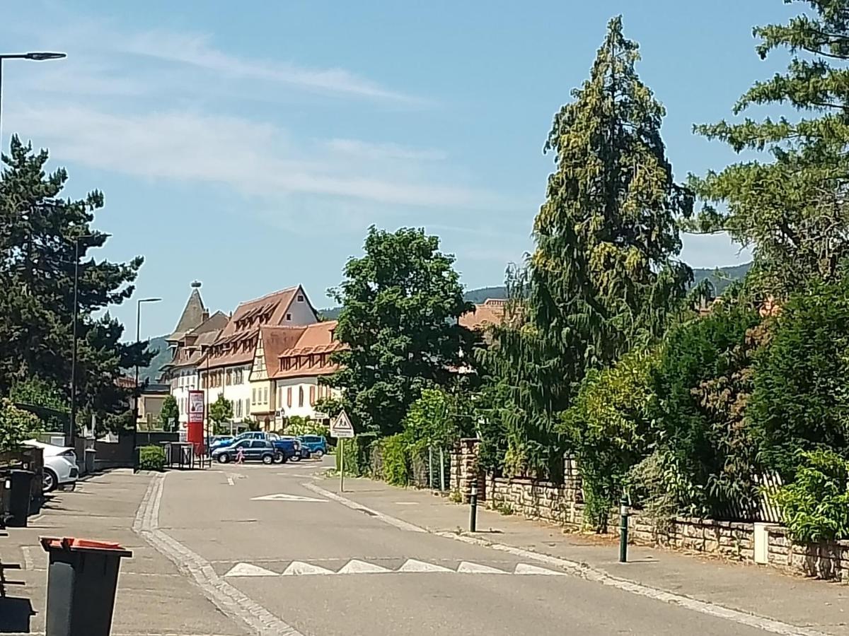 Appartement Avec Balcon : Le Serenity Turckheim Bagian luar foto
