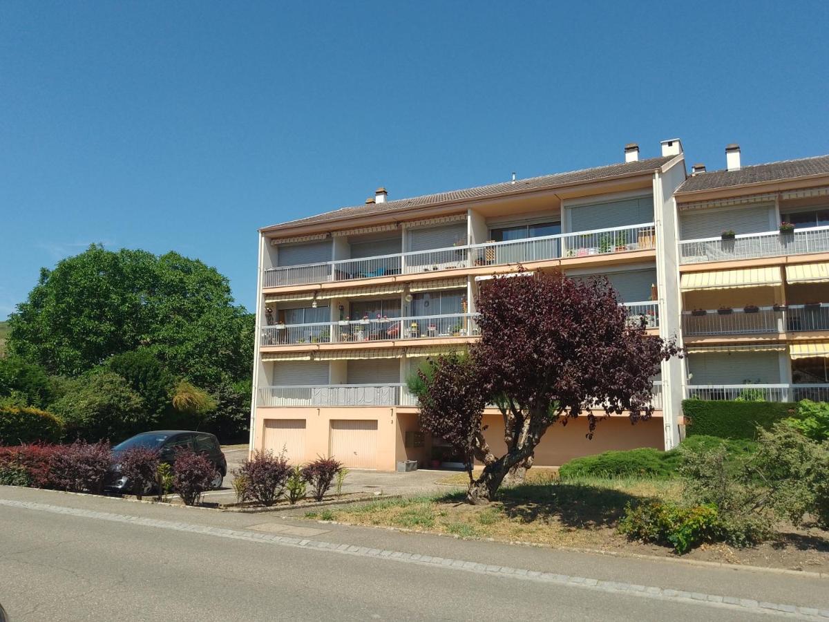 Appartement Avec Balcon : Le Serenity Turckheim Bagian luar foto